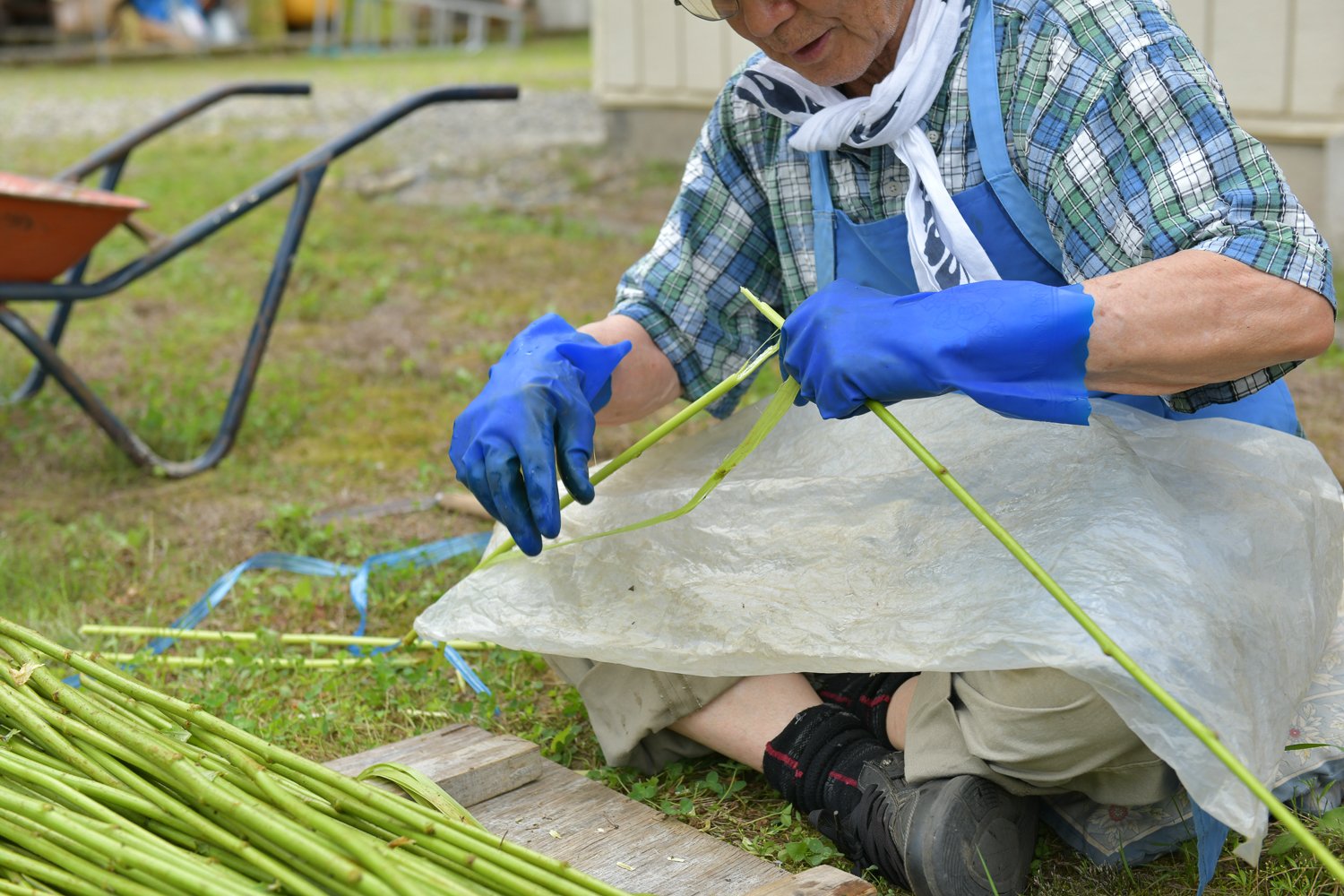 ▲皮を2枚になるようにはいでいく。