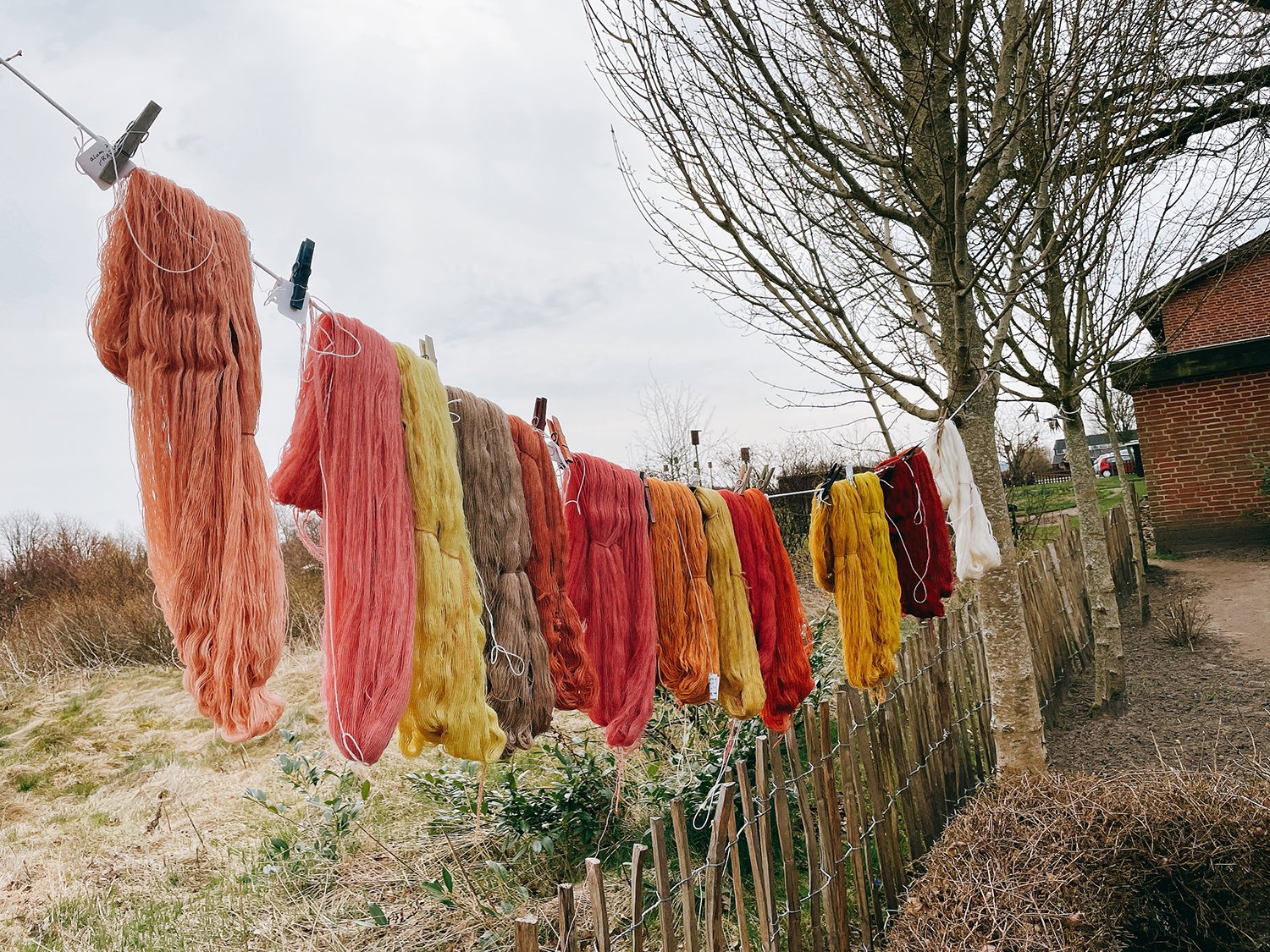 ▲草⽊染めの授業で染めたウール⽷