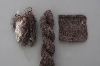 ▲白からグレー、焦げ茶色が美しい羊毛ゴットランド「きほんの糸紡ぎ」（誠文堂新光社）より　　撮影：公文美和