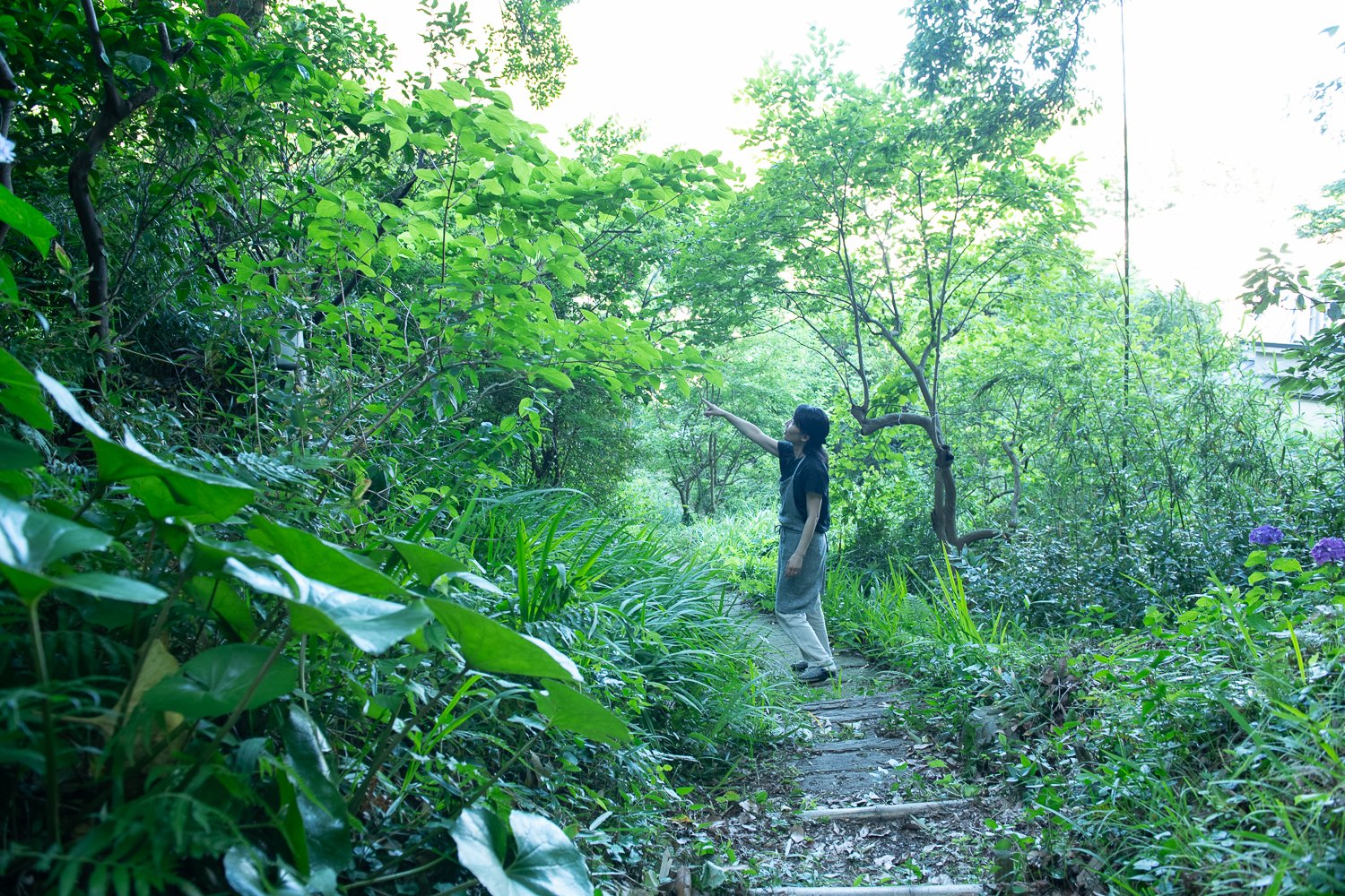 ▲緑あふれる、玄関までのアプローチ。