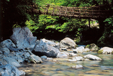 半田屋の手延べそうめん、うどん