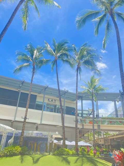 GW、ハワイでNHK「街角ピアノ」に出演できるチャンス