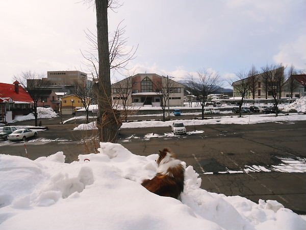 2014.02.22 (Sat) Viewing Arai S/H School