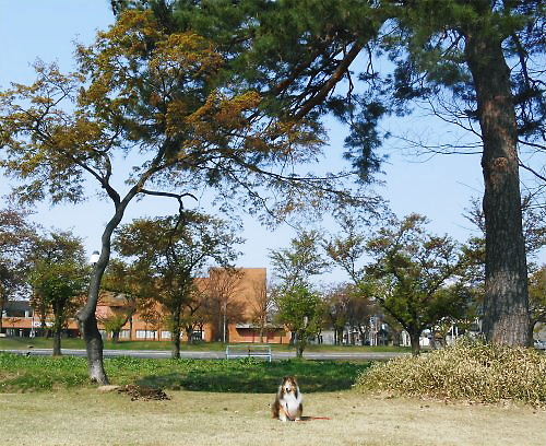 The place was in Community Center next to Cultural Hall. This picture was taken in the morning on April 26th.