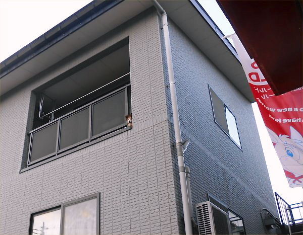 Erie was watching from the safety.