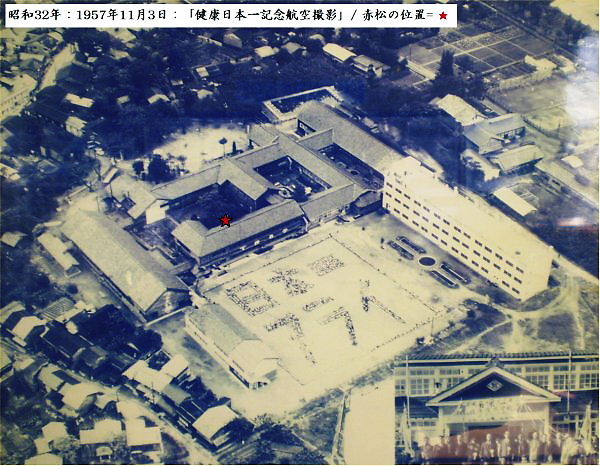 1957.11.03 ★は「中庭の赤松の位置」