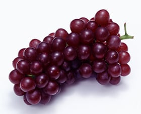 ブドウ