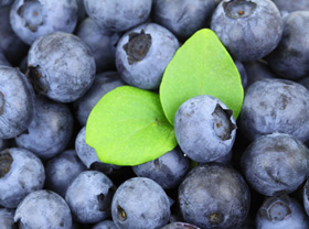 ブルーベリー