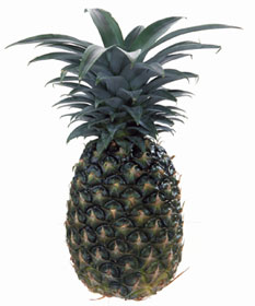 パイナップル
