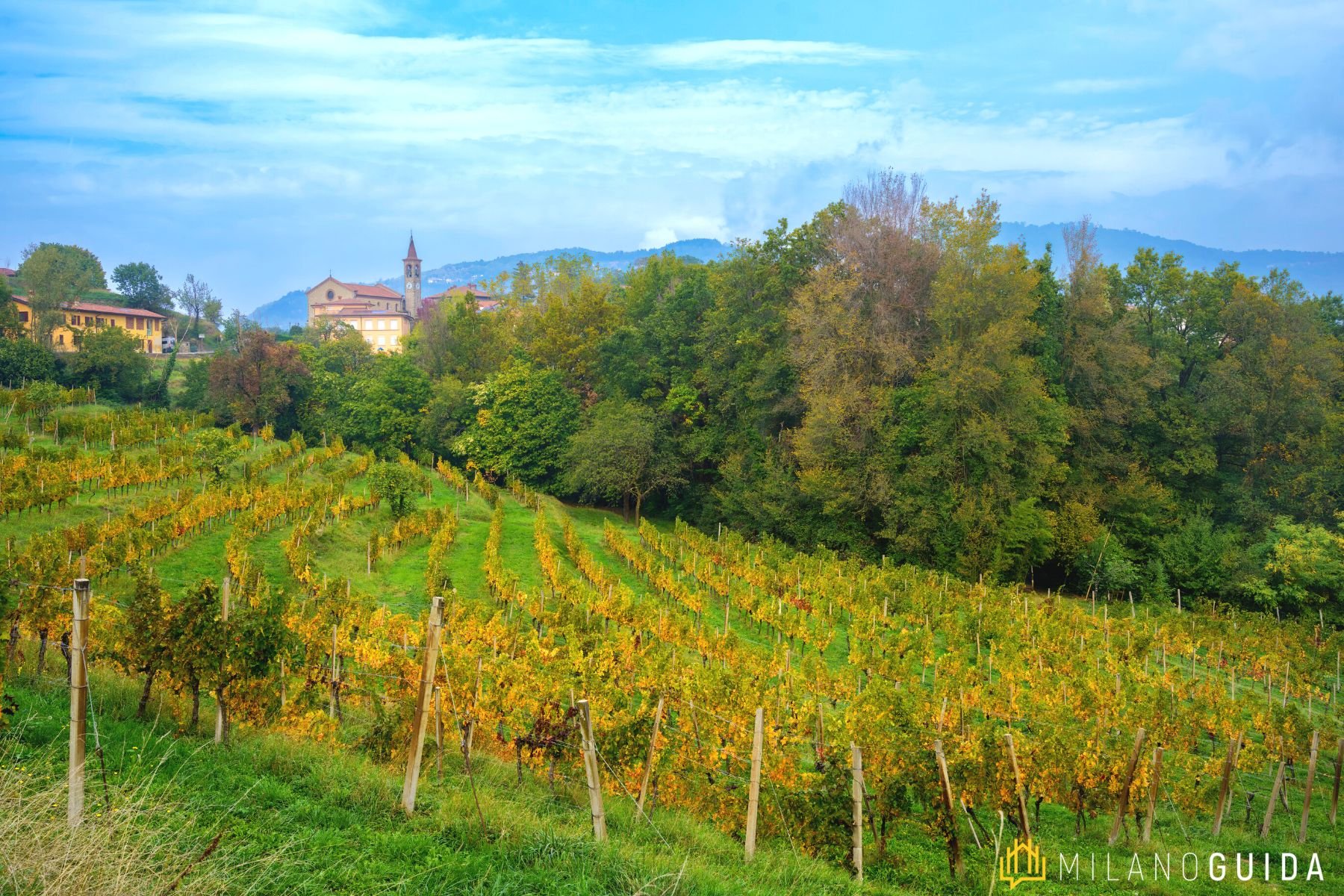 Visita guidata Montevecchia Parco Curone