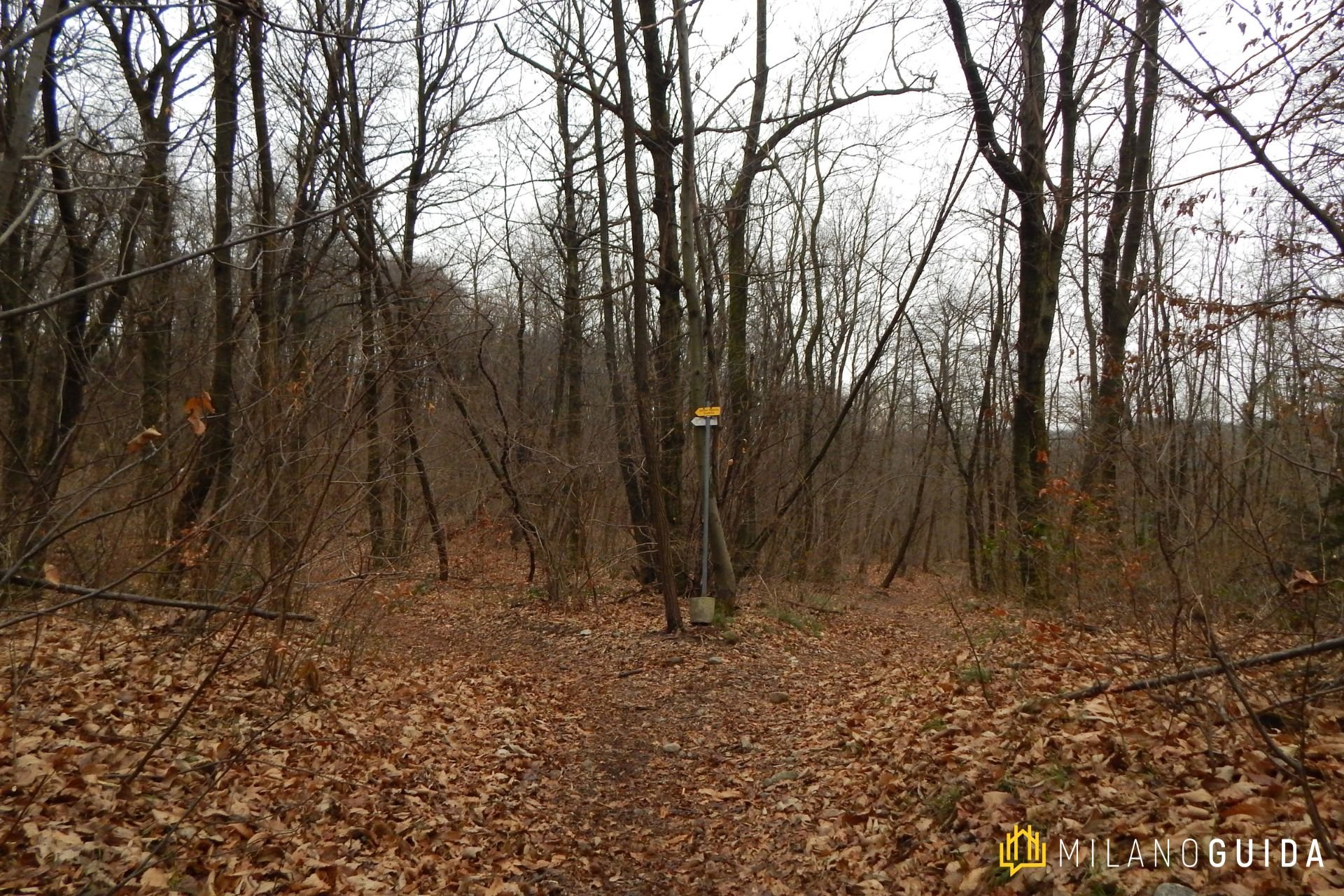 Visita guidata Parco delle Sorgenti del Lura 