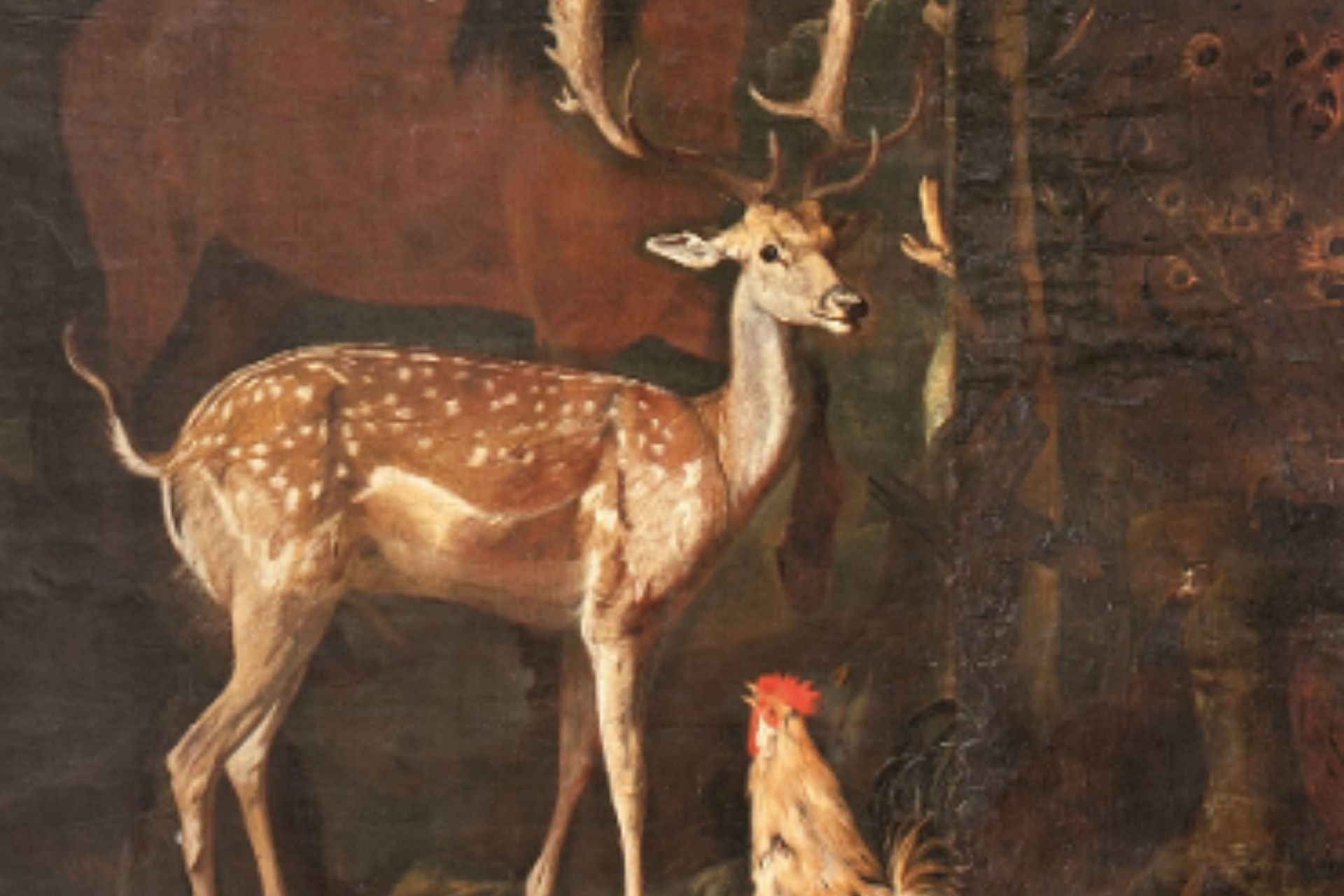 Mostra Natura Milano