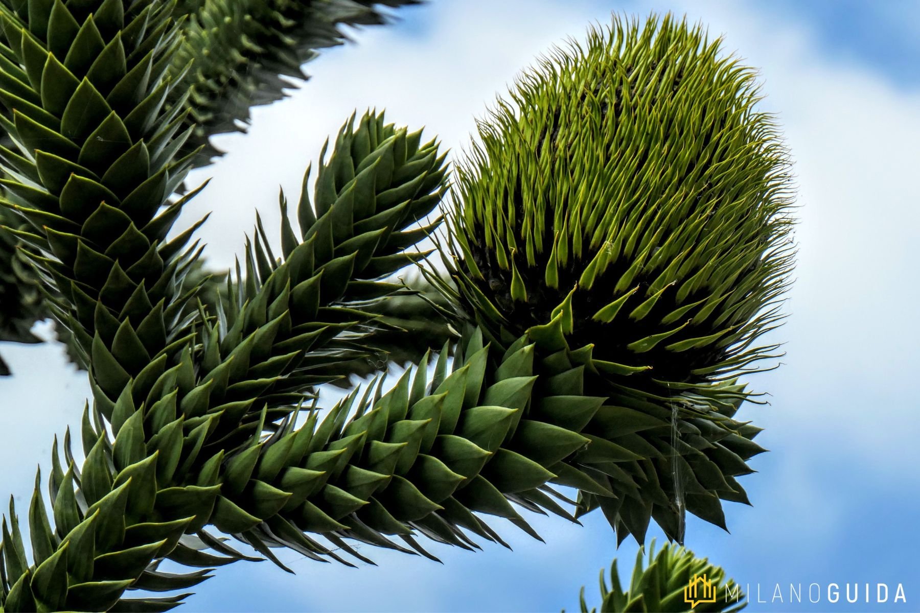 Visita guidata evoluzione Giardini Pubblici Milano