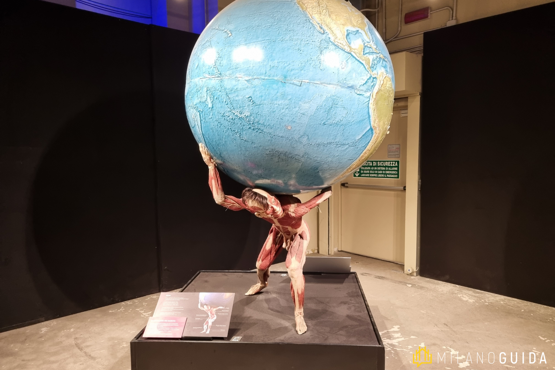 Mostra Body Worlds Milano