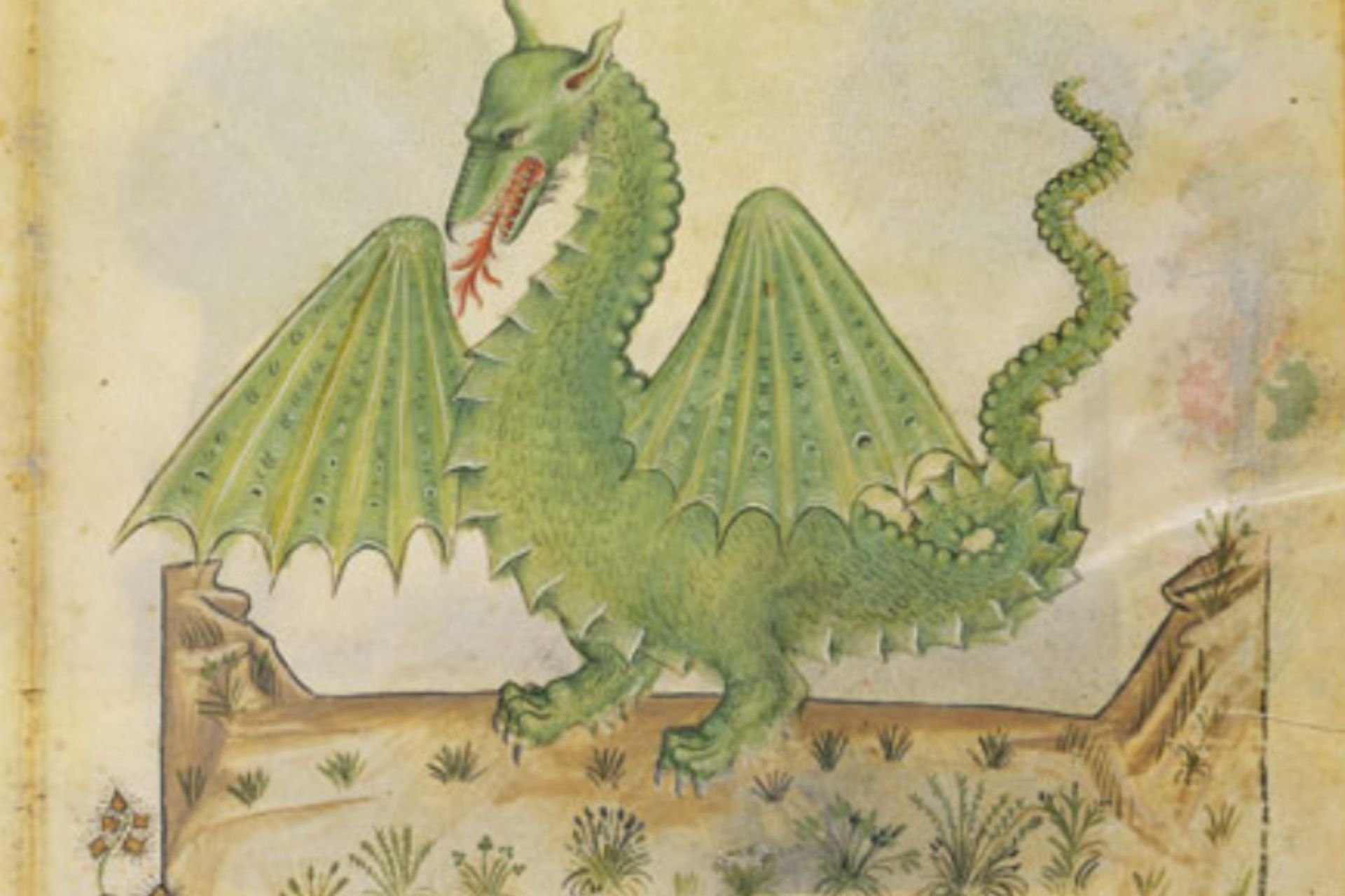 Mostra Natura Milano