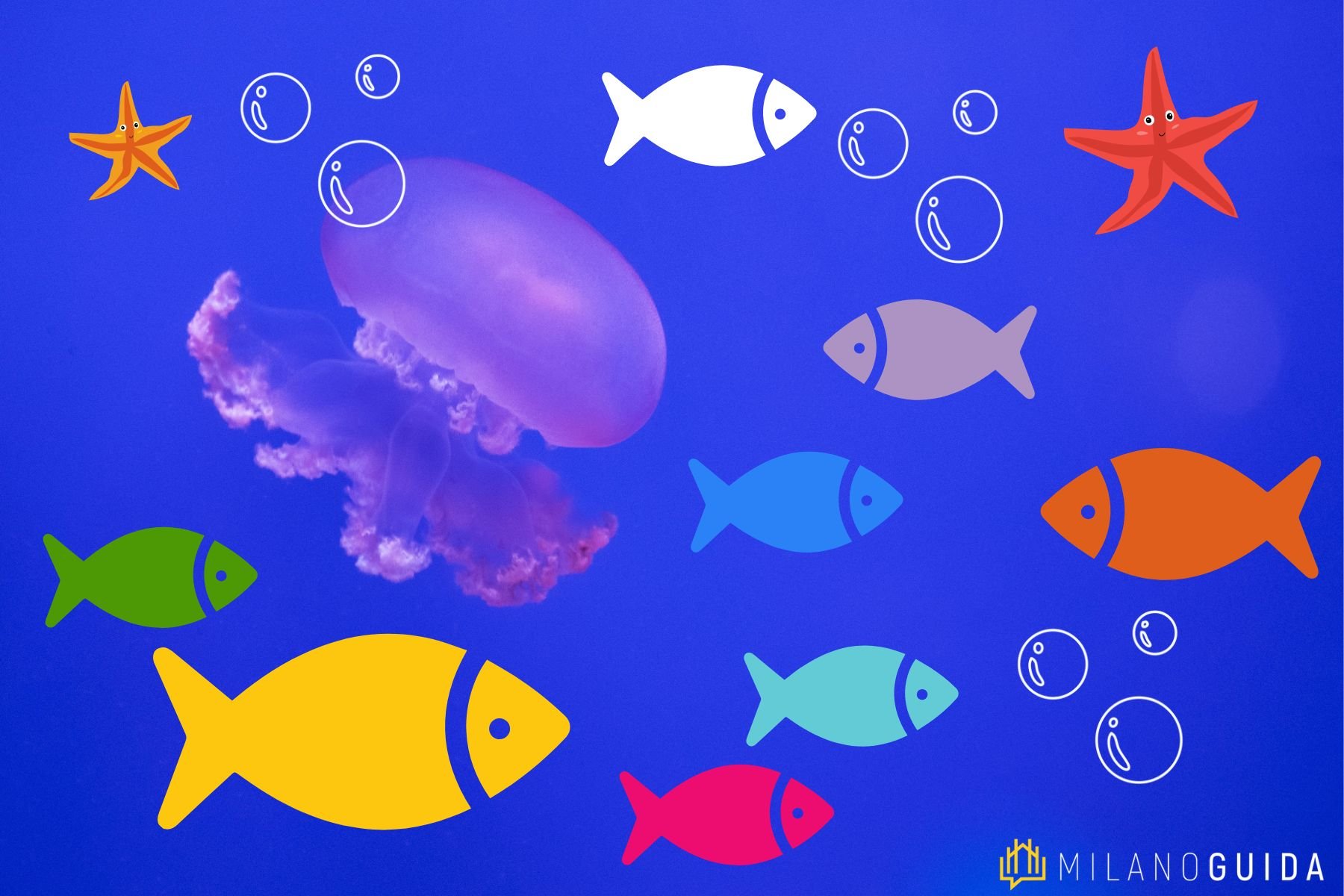 Visita guidata bambini Acquario Milano