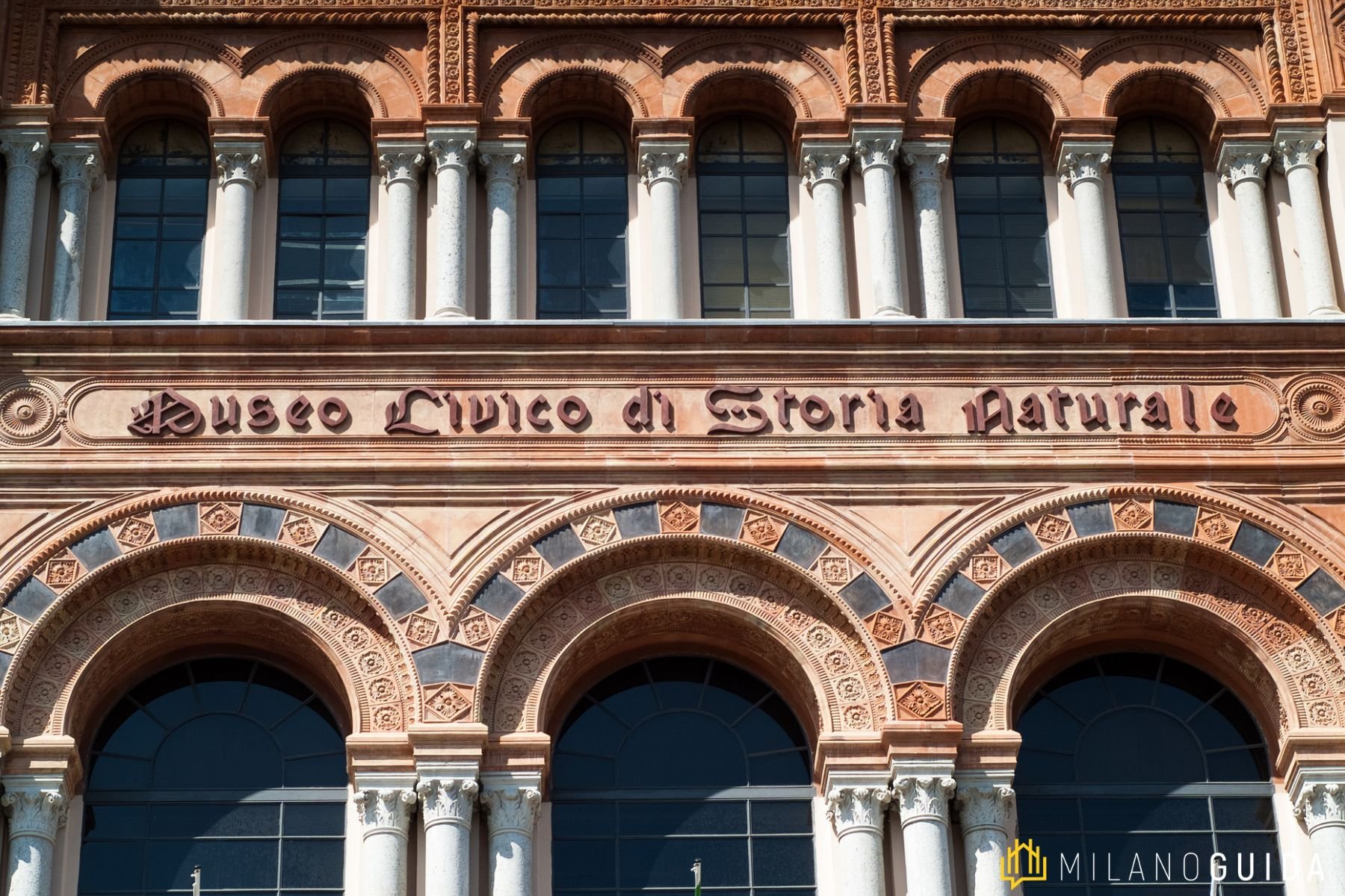 Visita guidata al Museo di Storia Naturale di Milano