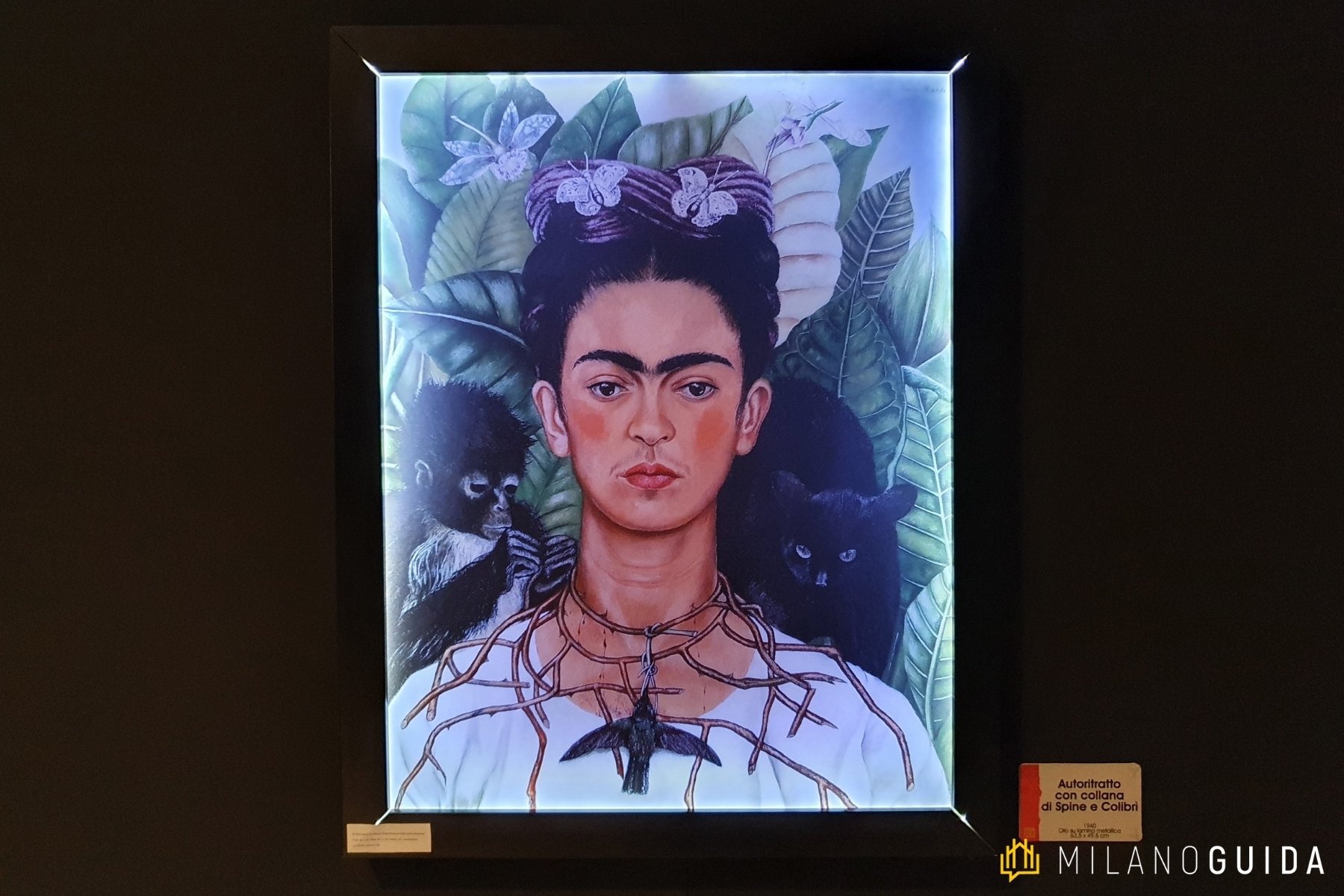 Mostra Frida Kahlo Milano