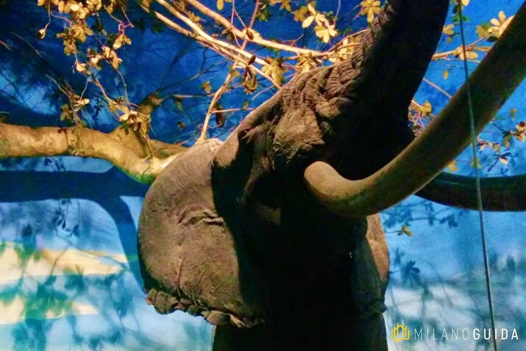 Museo di Storia Naturale Milano per bambini