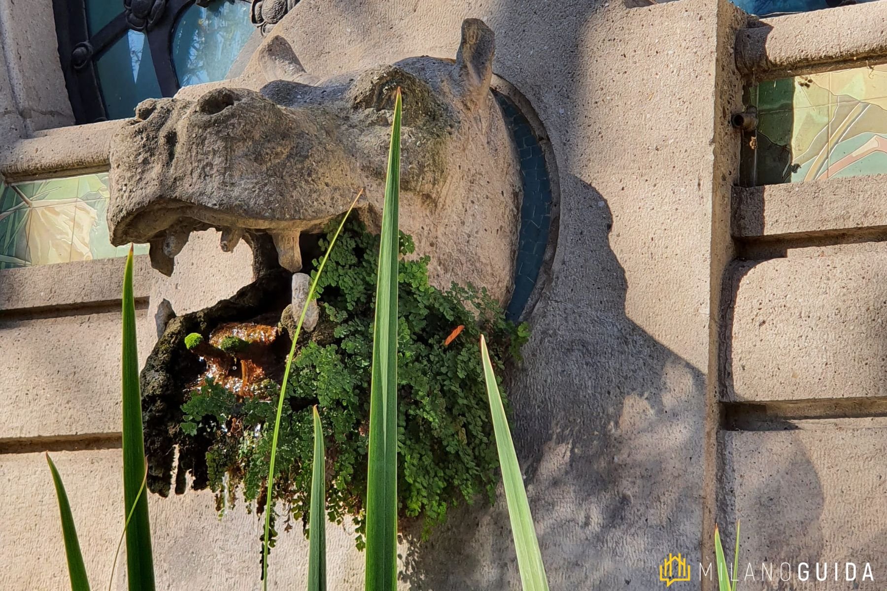 Visita guidata Acquario Milano
