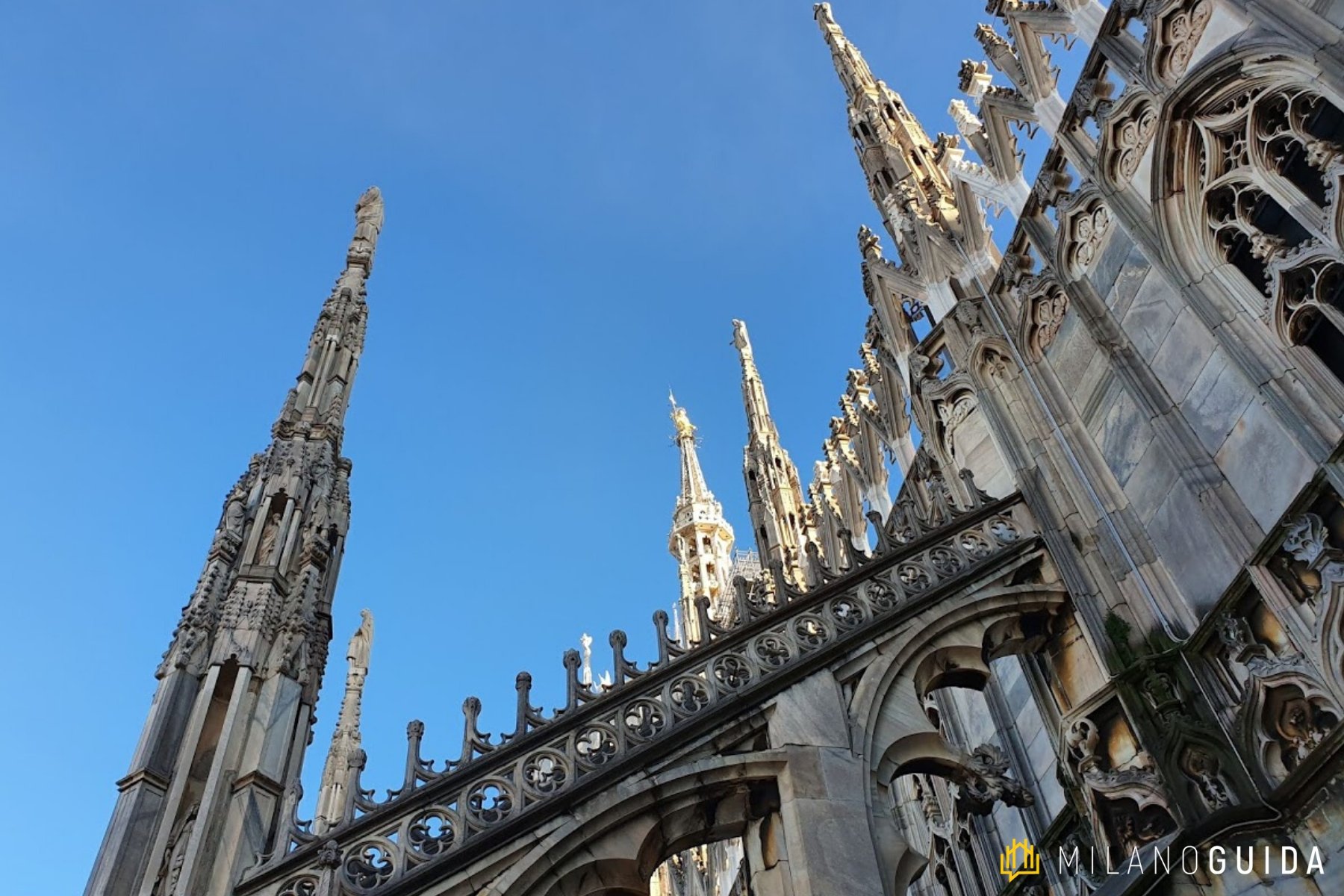 Visita guidata Terrazze Duomo Milano