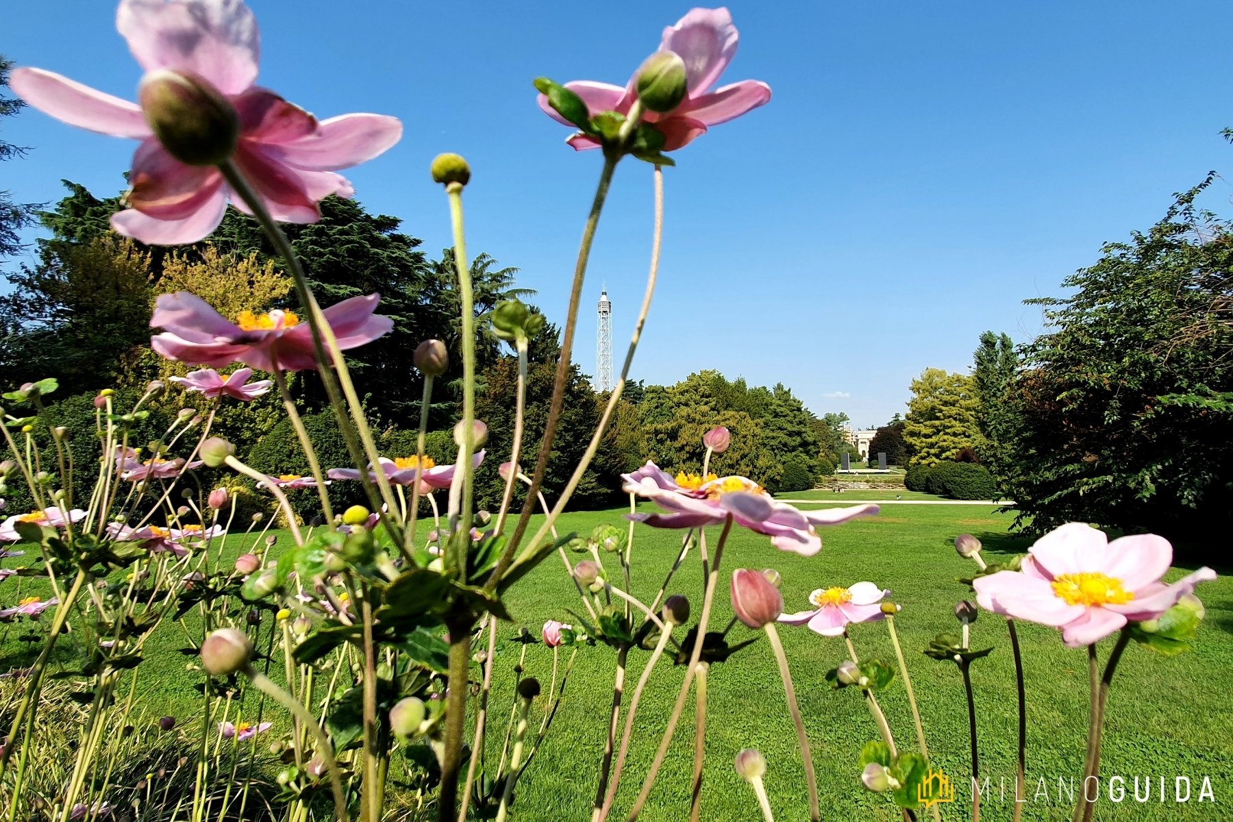 Visita guidata Parco Sempione Milano
