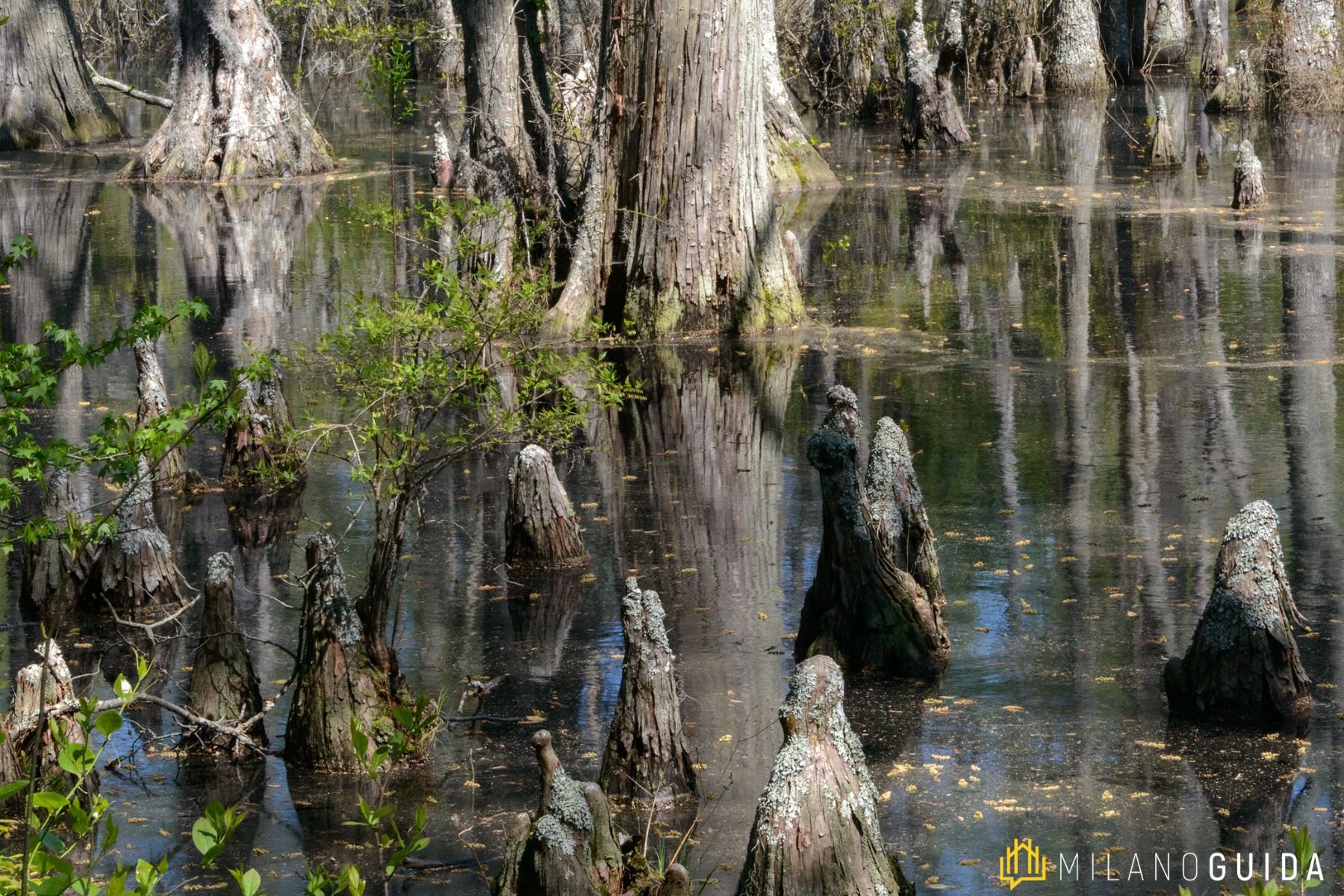 Visita guidata evoluzione Giardini Pubblici Milano