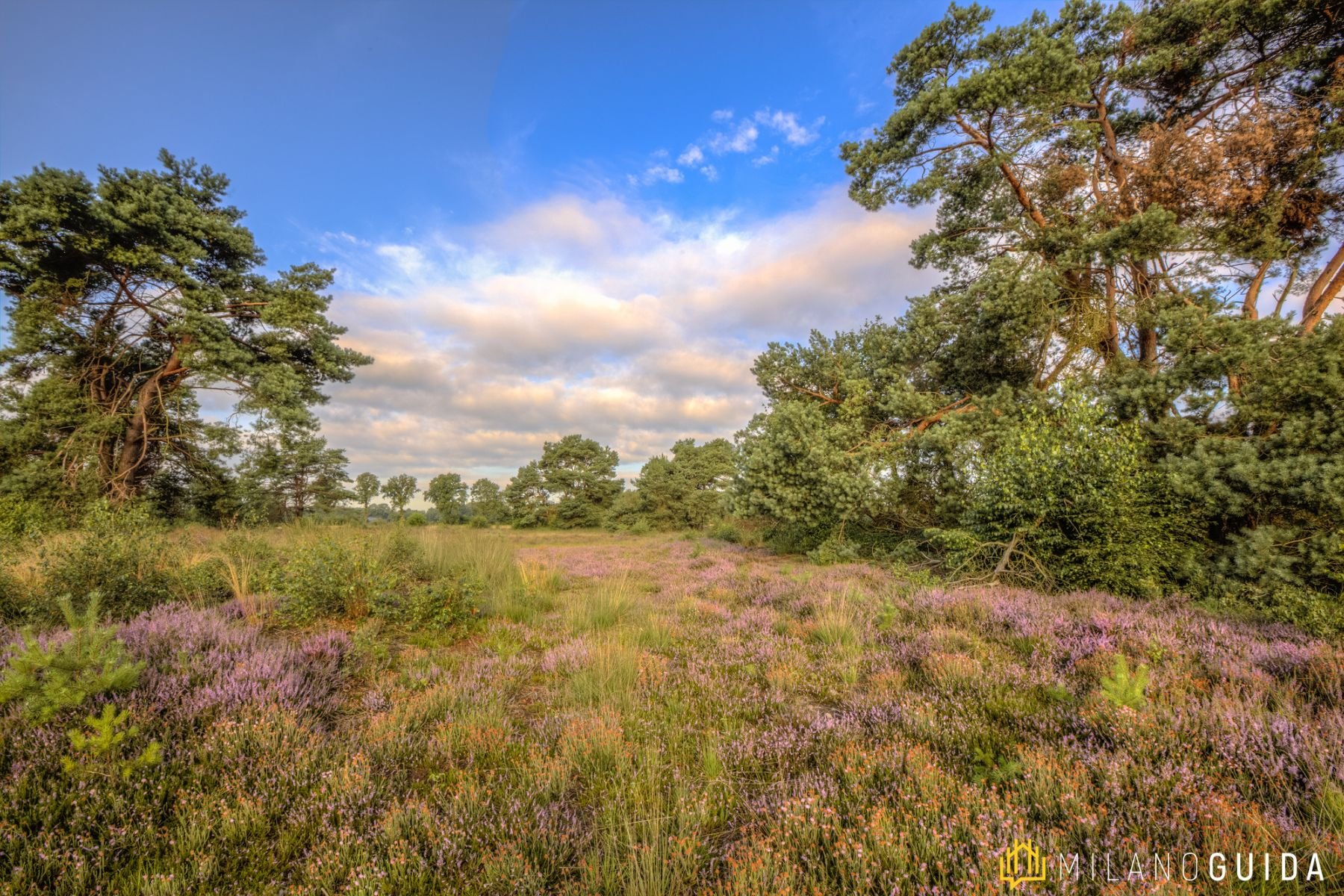 L'antica via Gaggio e Brughiera