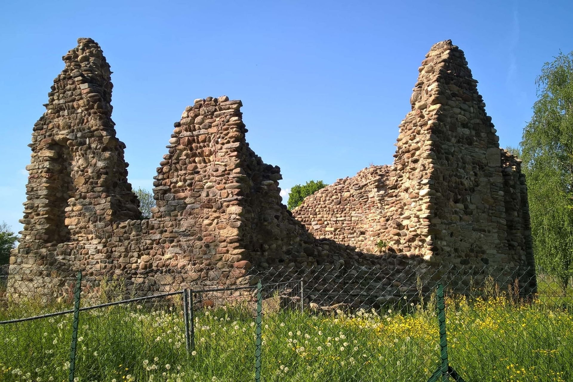 Visita guidata Castelseprio