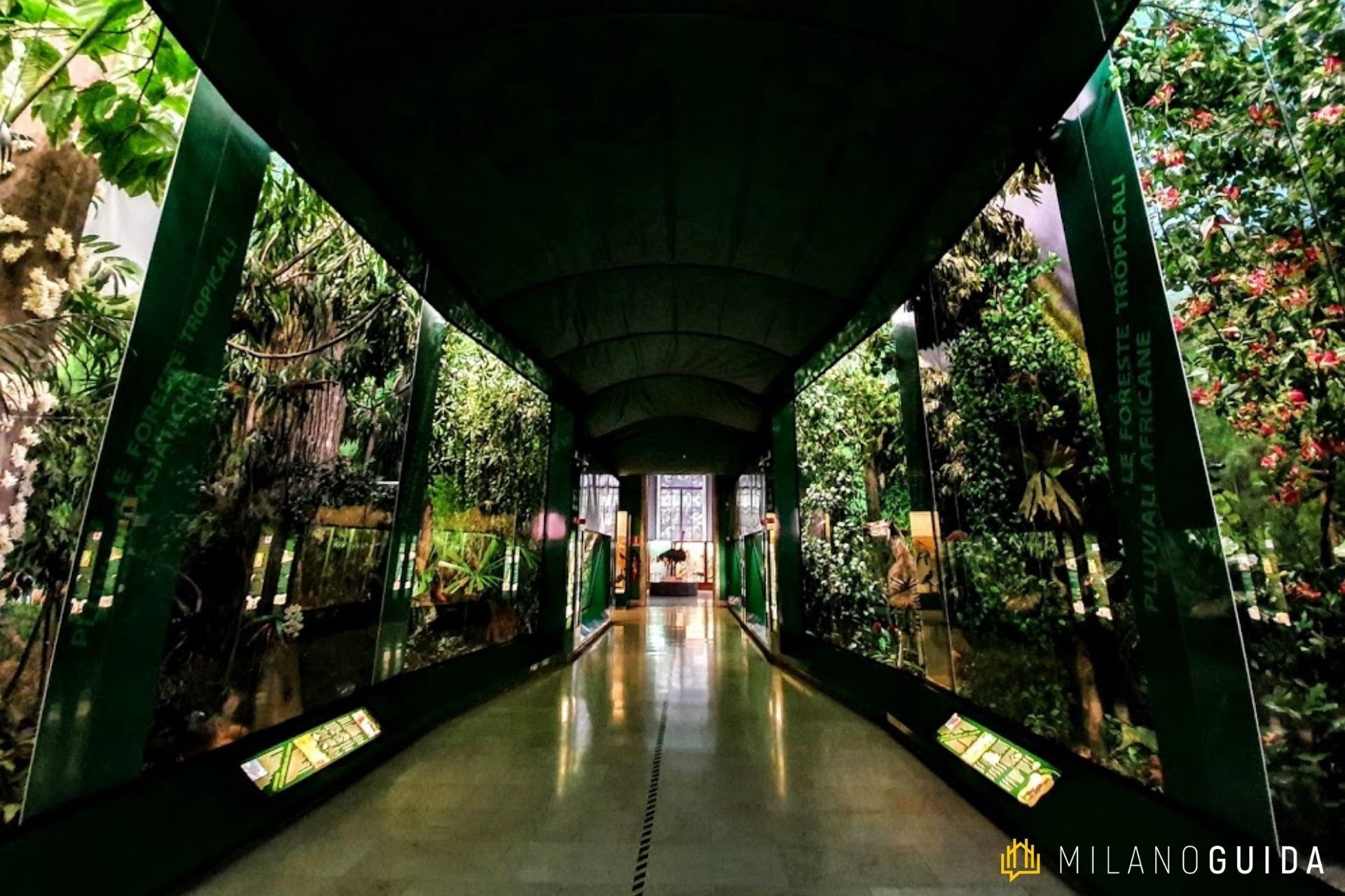 Museo di Storia Naturale Milano per bambini