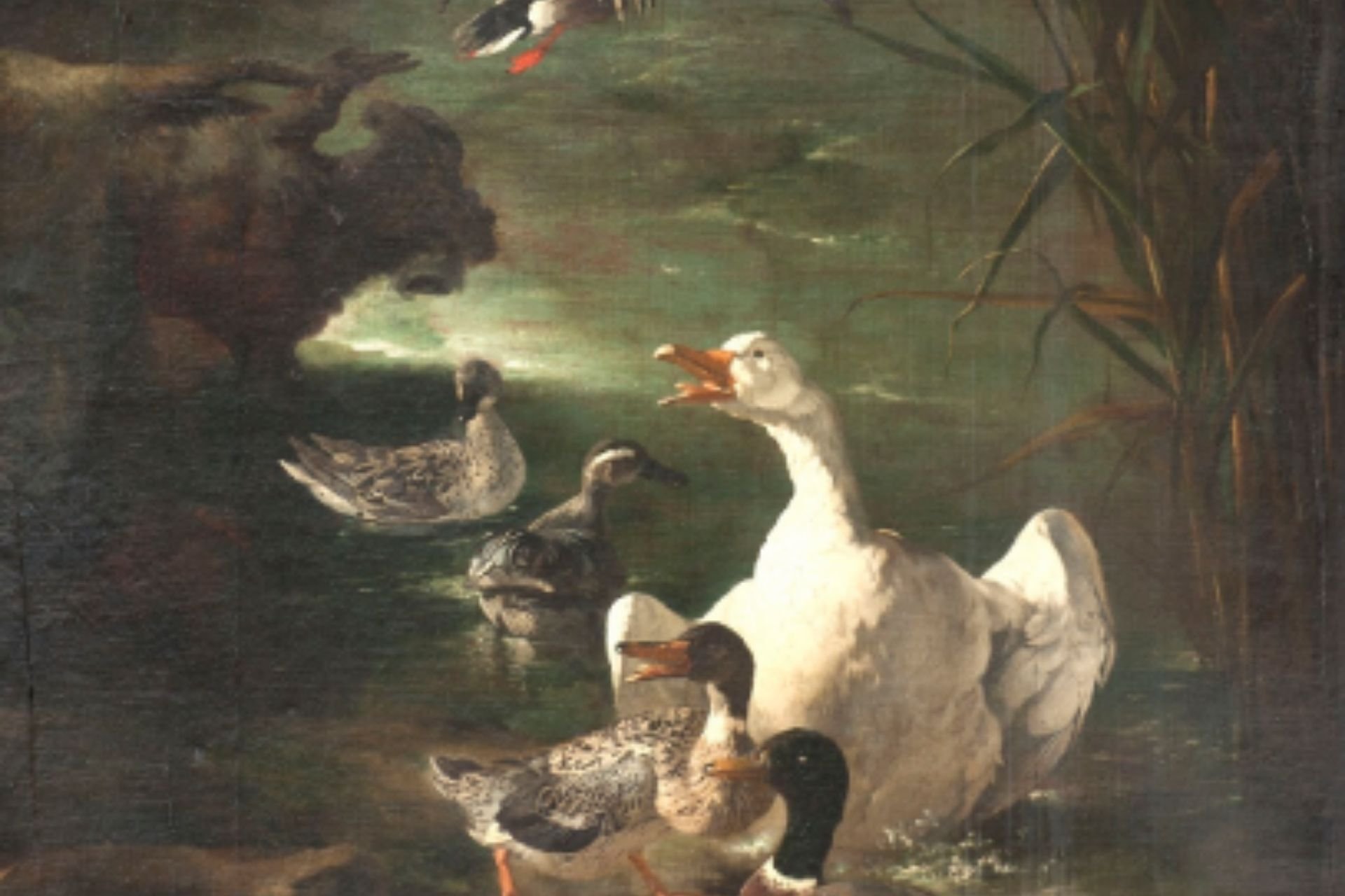 Mostra Natura Milano