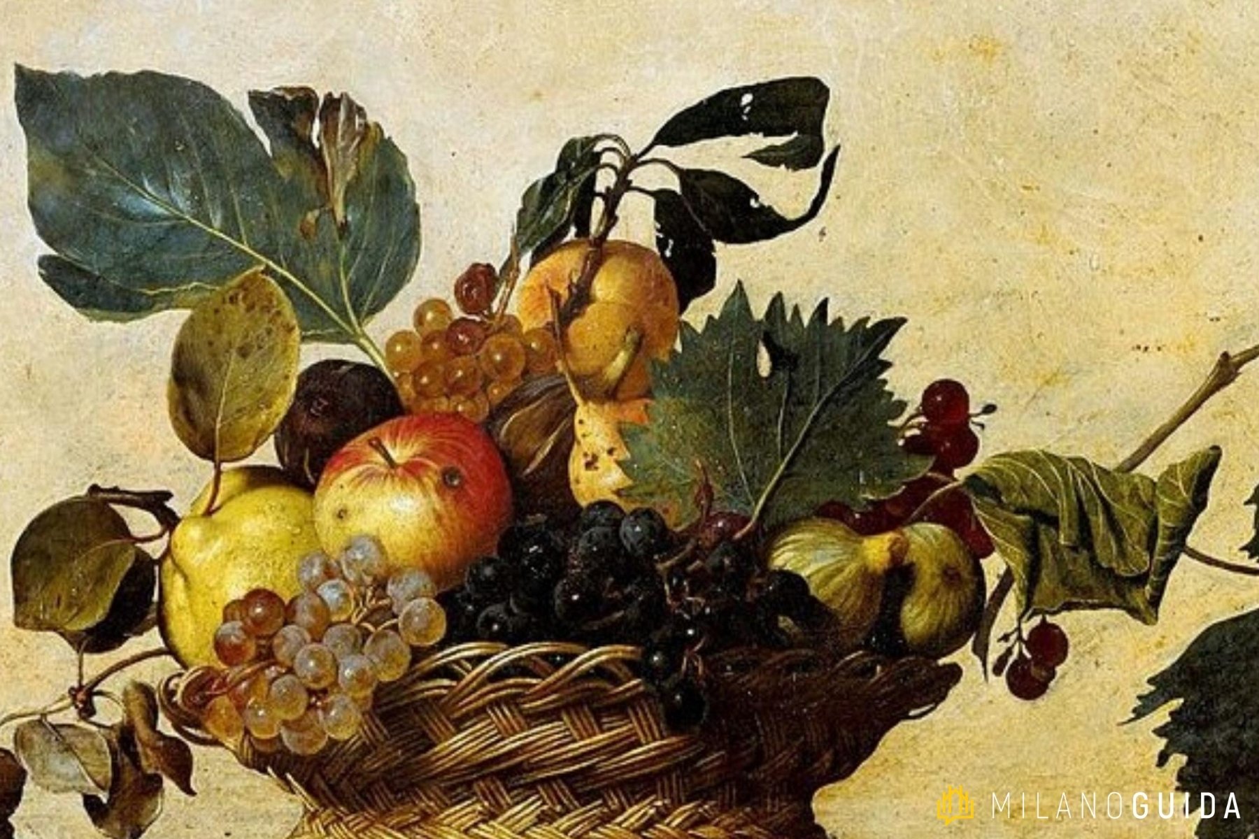 Visita guidata Pinacoteca Ambrosiana Bambini