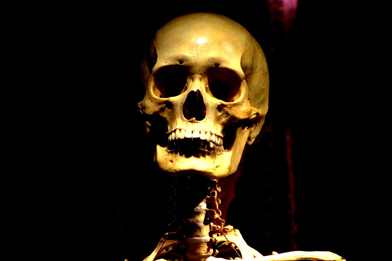 Mostra Real Bodies Milano