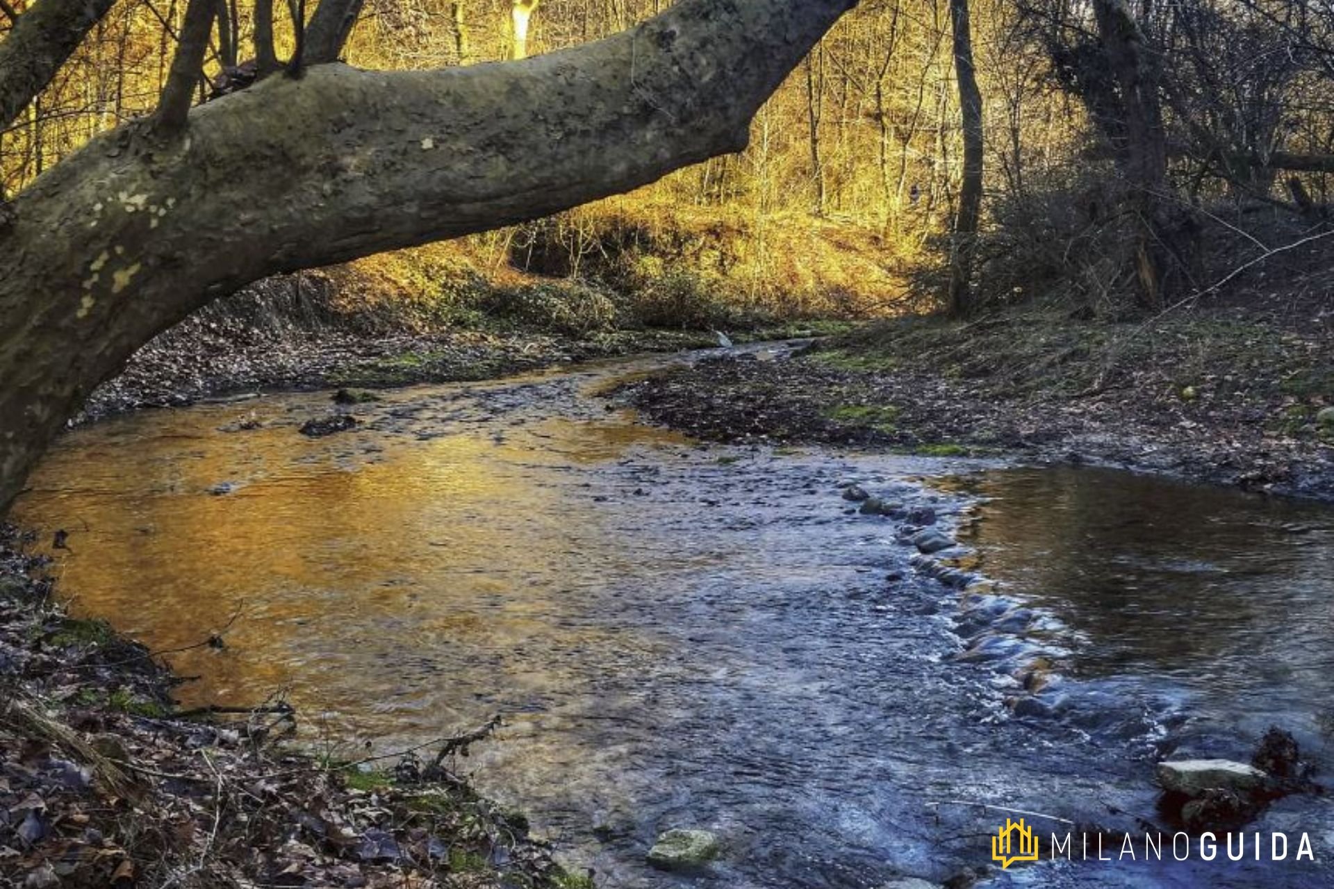 Visita guidata Parco delle Sorgenti del Lura 