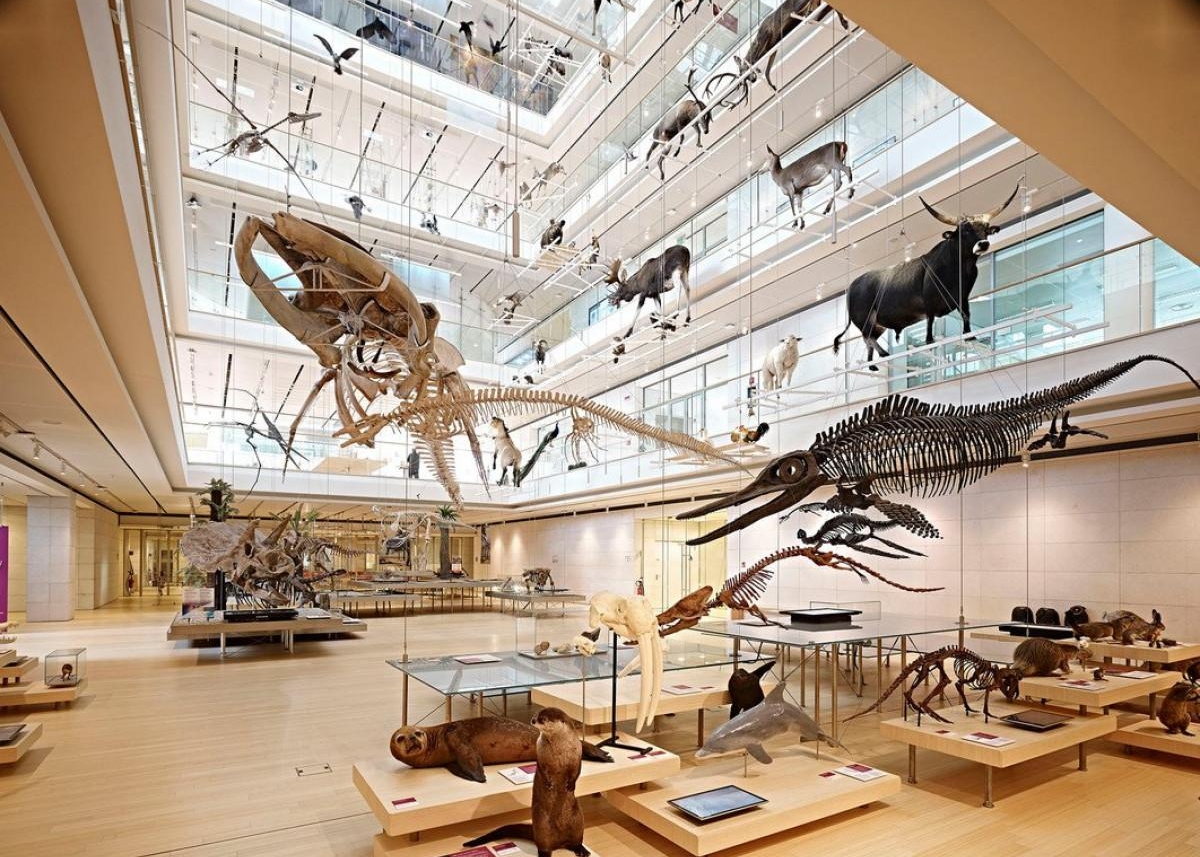 Visita guidata a Trento e Rovereto