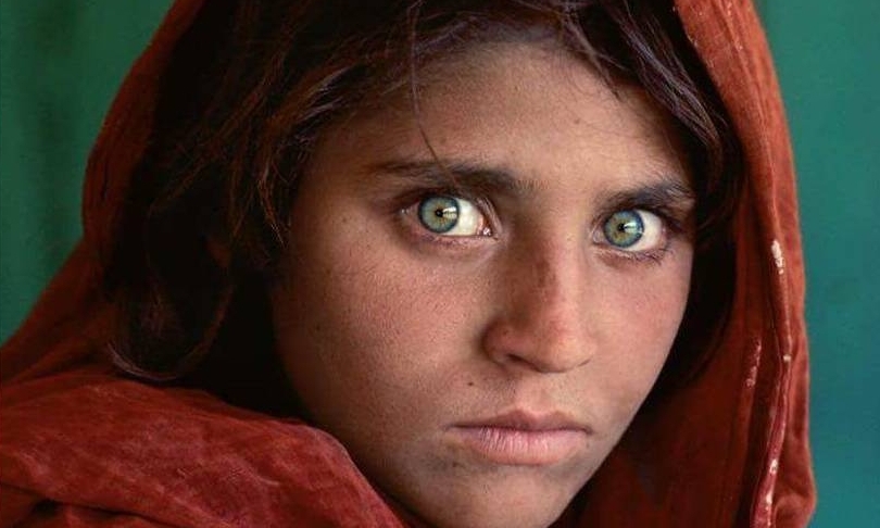 Visita guidata a Pavia