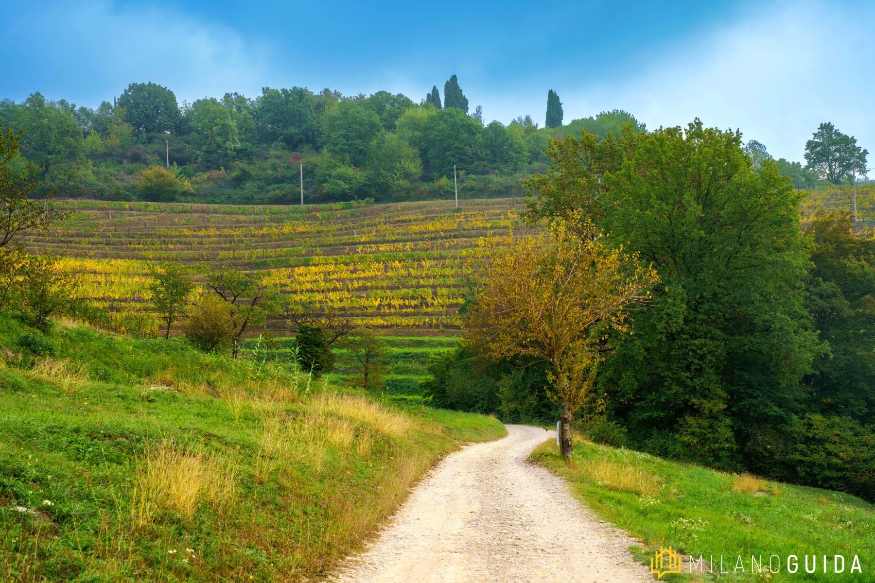 Visita guidata Montevecchia Parco Curone