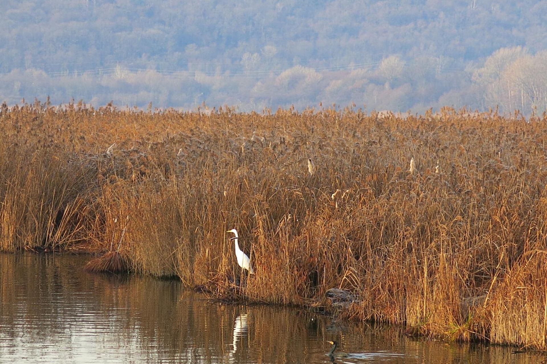 Villaggio operaio Varano Borghi