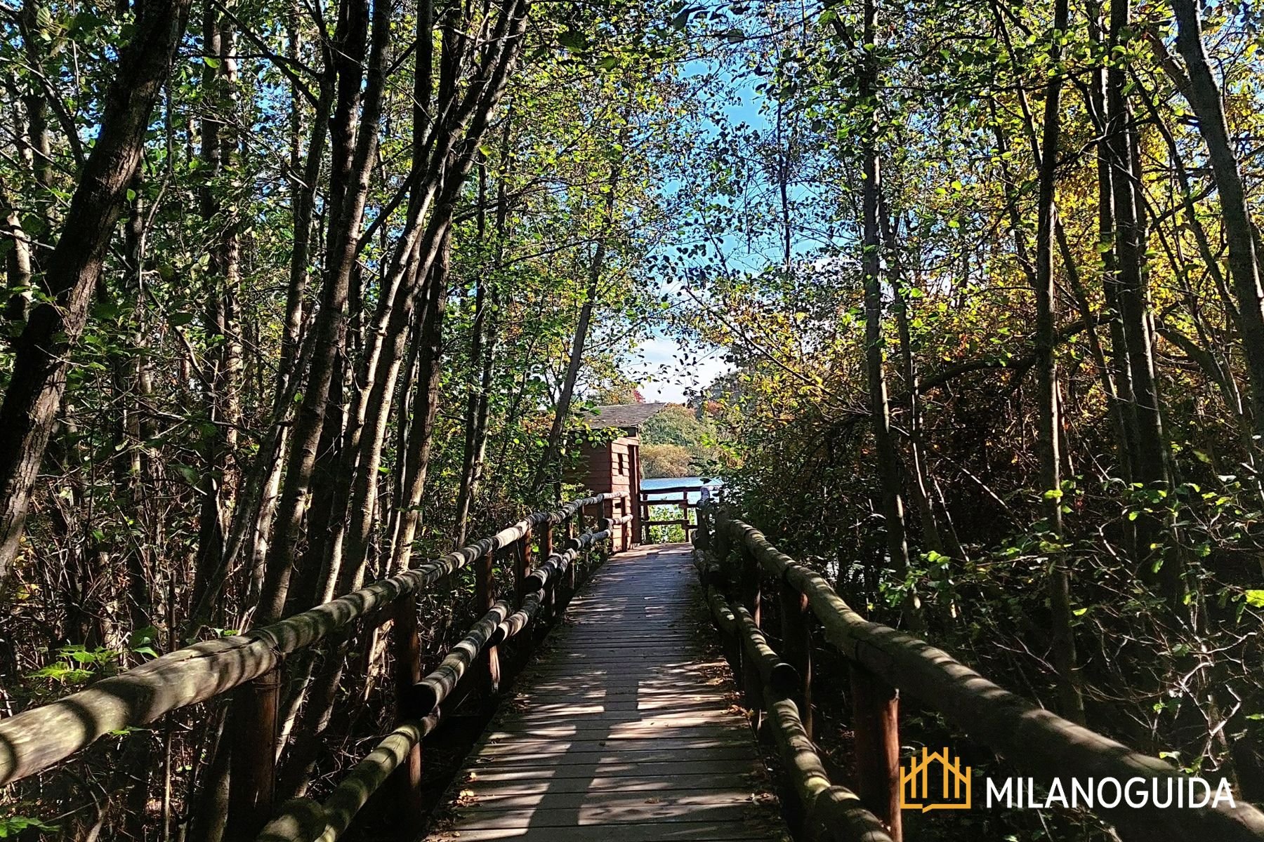 visita guidata al Lago di Sartirana