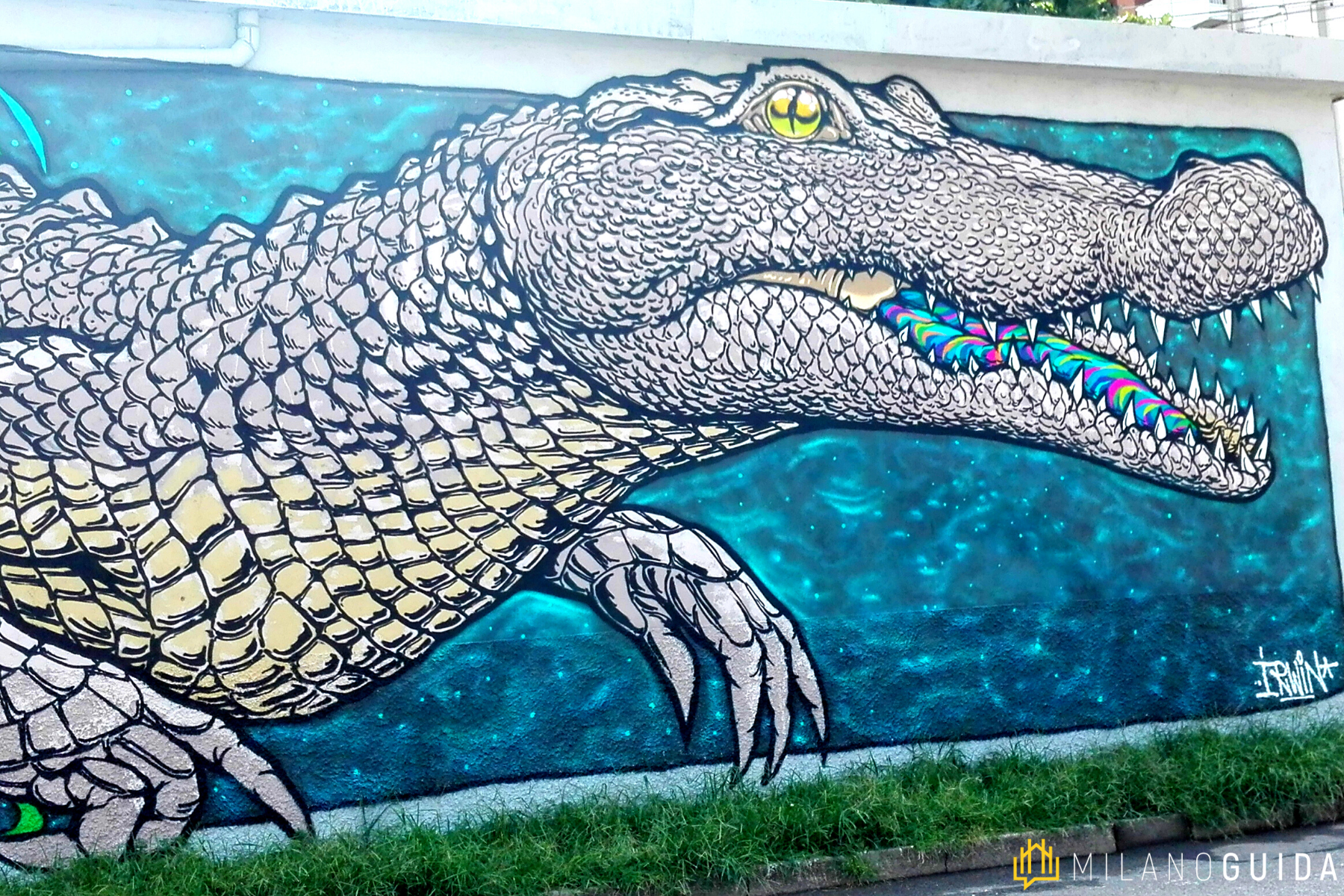 Visita guidata street art Leoncavallo