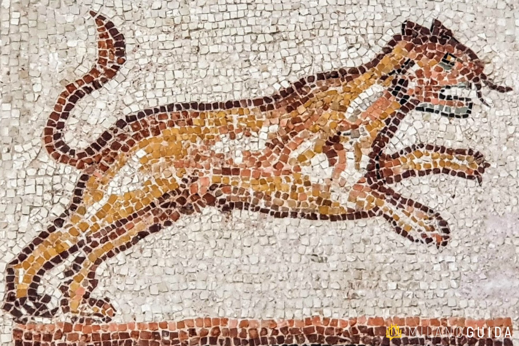 Visita guidata per bambini Museo Archeologico