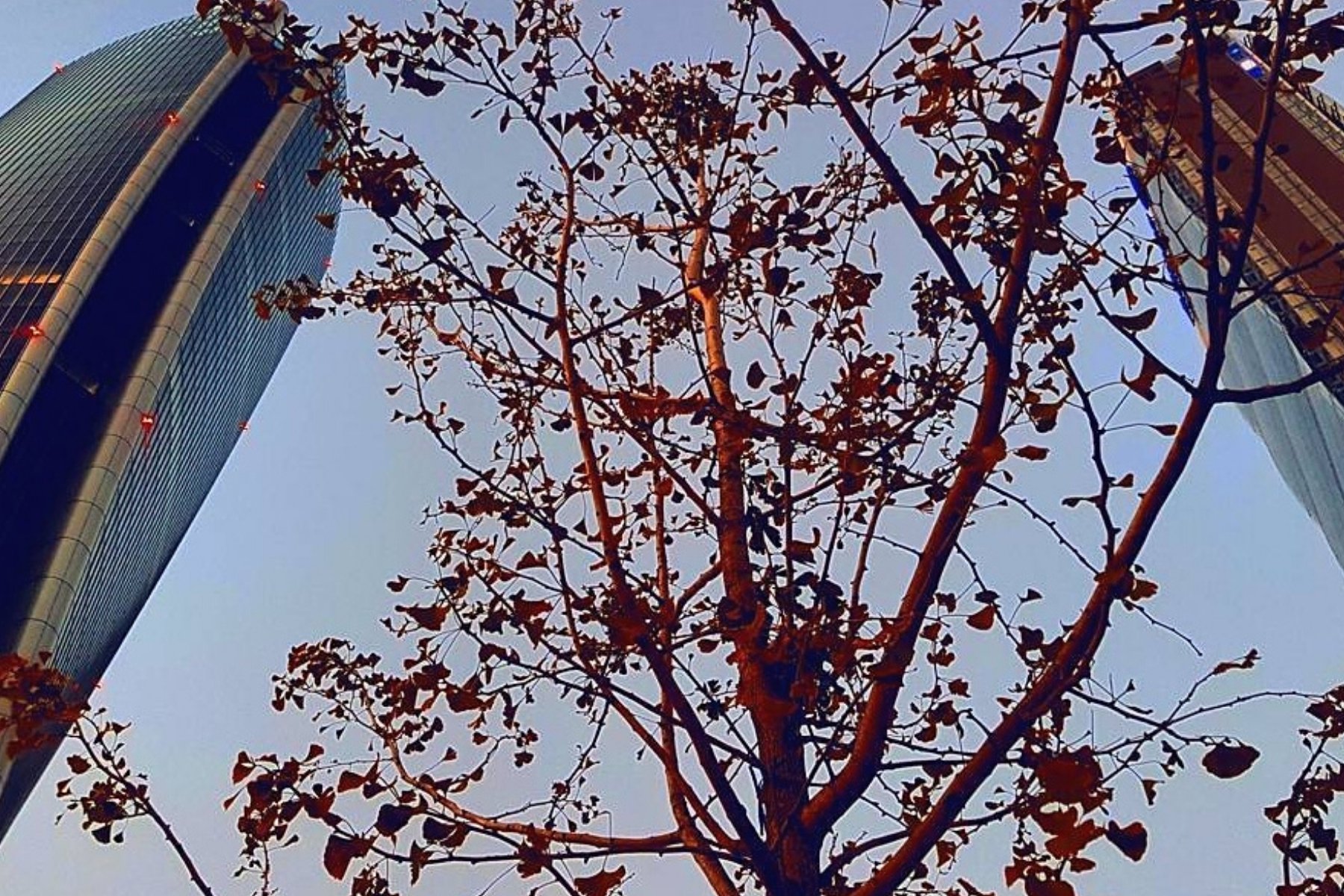 Visita guidata City Life Milano