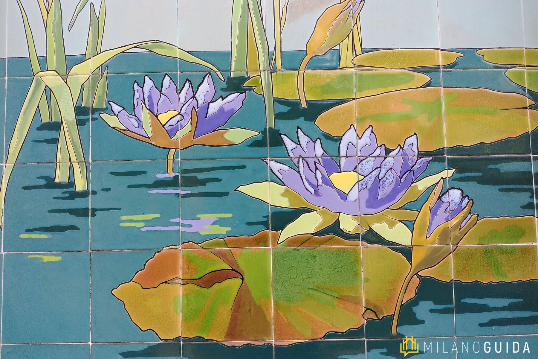 Visita guidata Acquario Milano