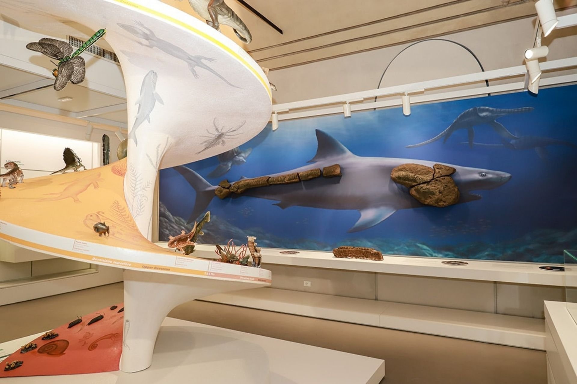  Visita guidata Museo Kosmos Pavia