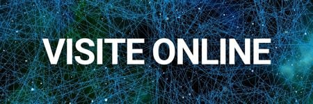 Visite guidate online