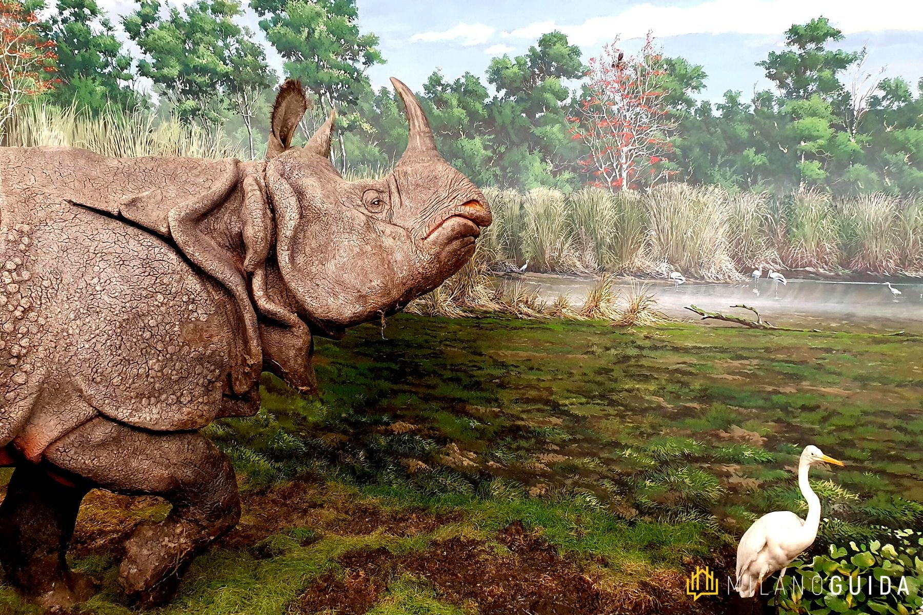 Museo di Storia Naturale Milano per bambini