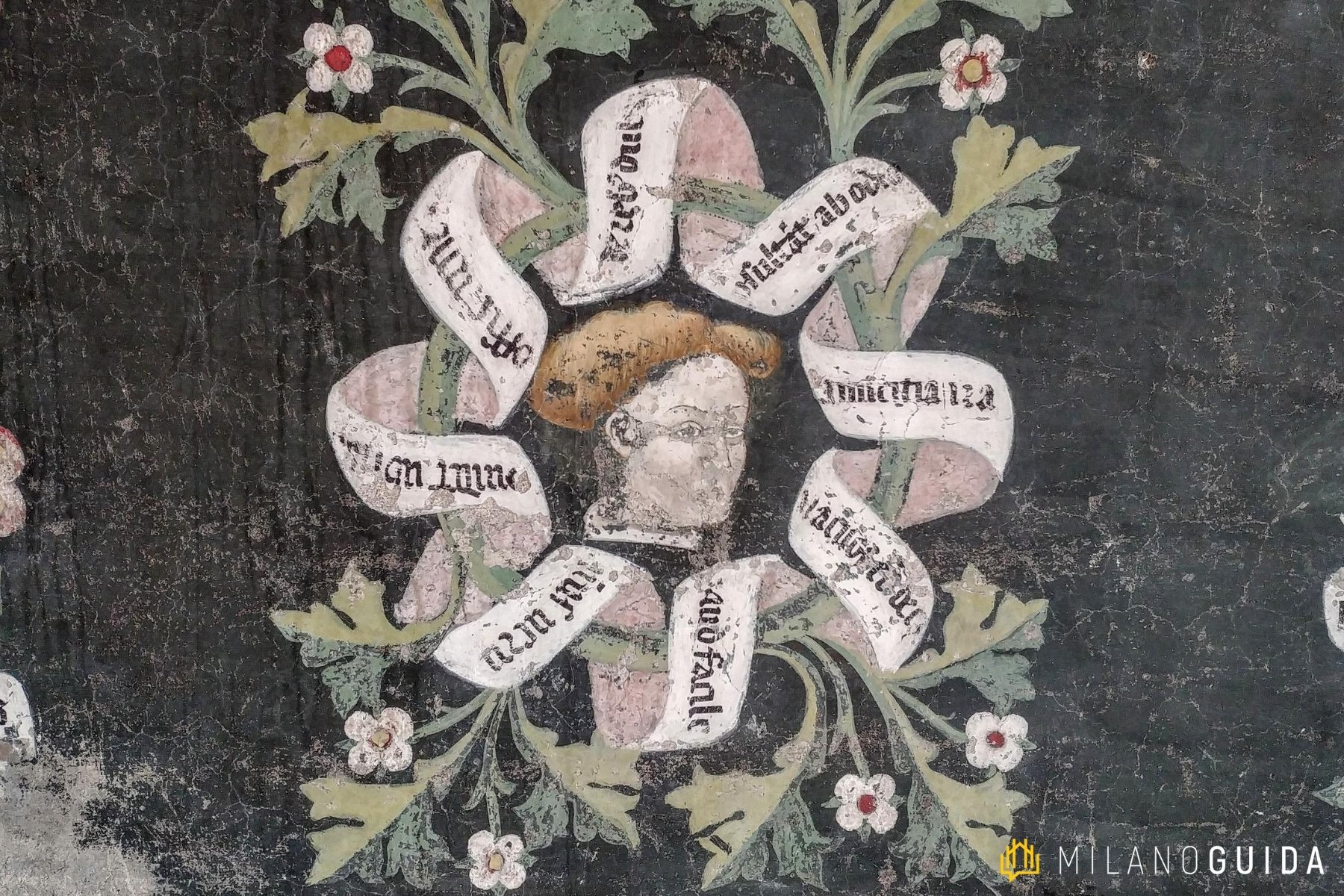 Visita guidata Castiglione Olona