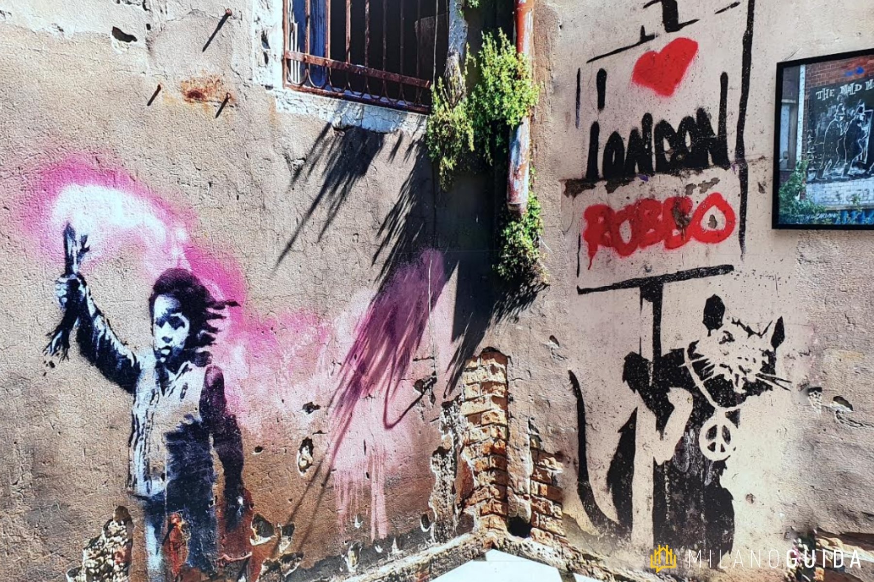 Mostra Street Art Milano