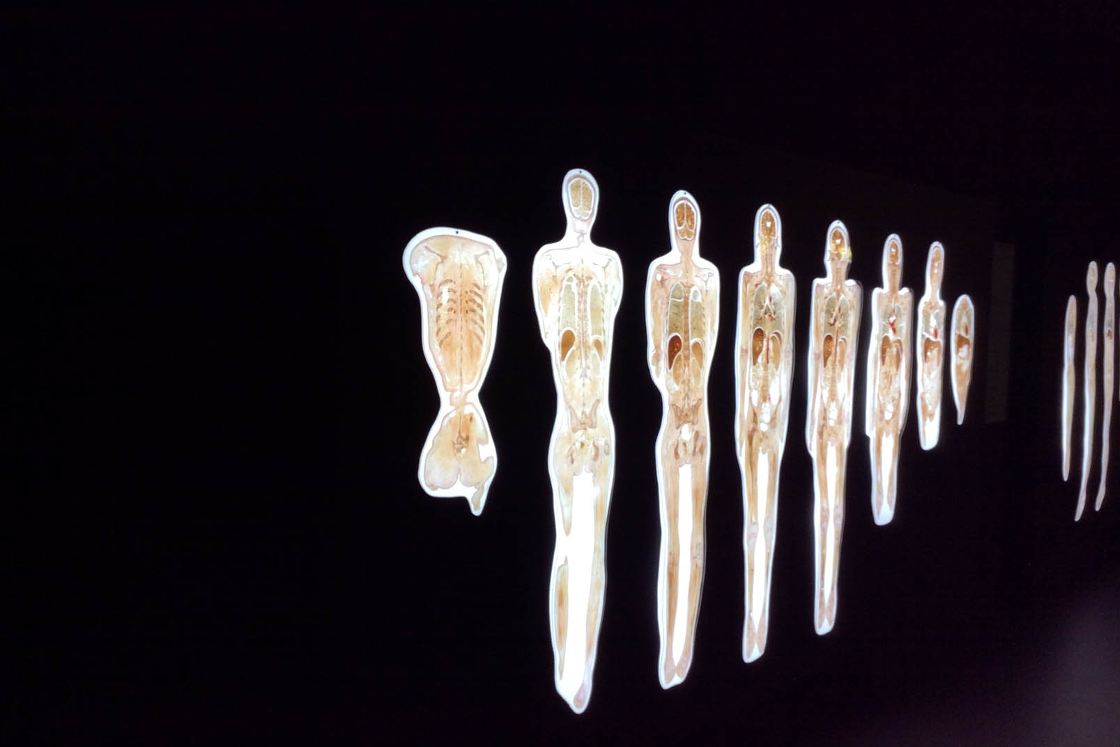 Mostra Real Bodies Milano