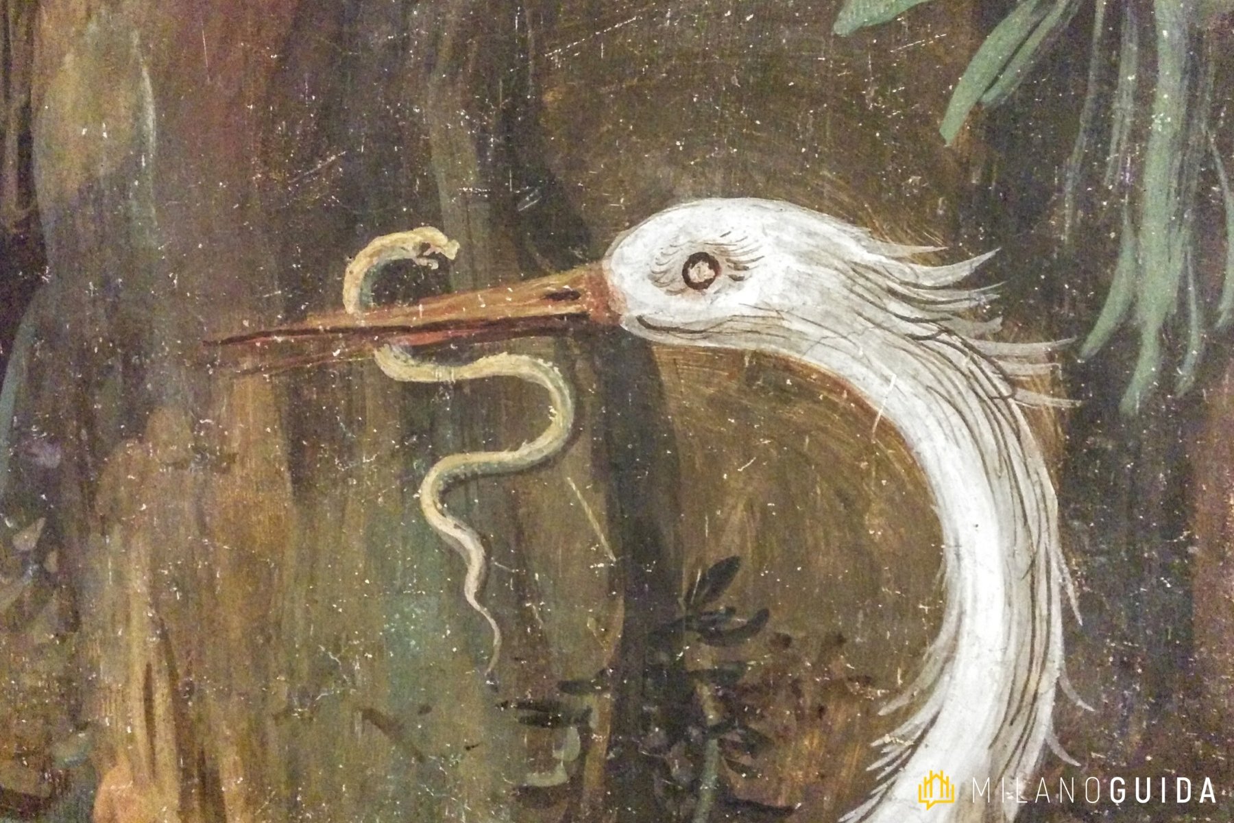 Visita guidata Palazzo Arese Borromeo Cesano Maderno